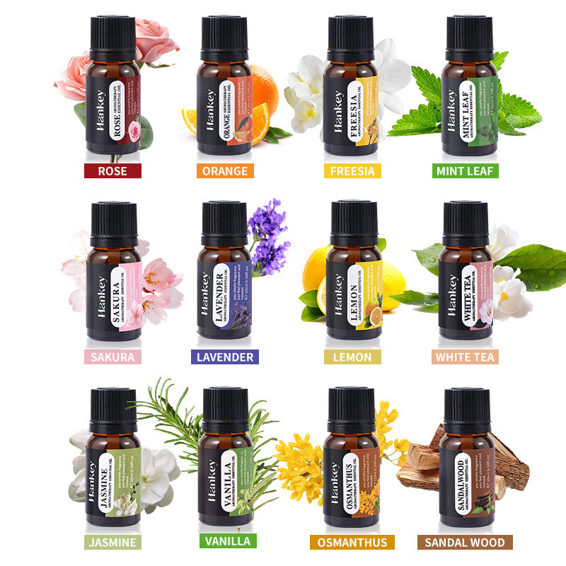 Water-soluble aromatherapy essential oil set - suitable for aromatherapy diffusers and humidifiers, long-lasting fragrance. - GLOWUP