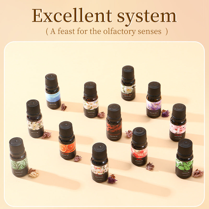 ESSENTIAL OIL Aromatherapy Essential Oil Set (6 Pieces) - Indoor Humidifier Aromatherapy Essential Oil Set - GLOWUP