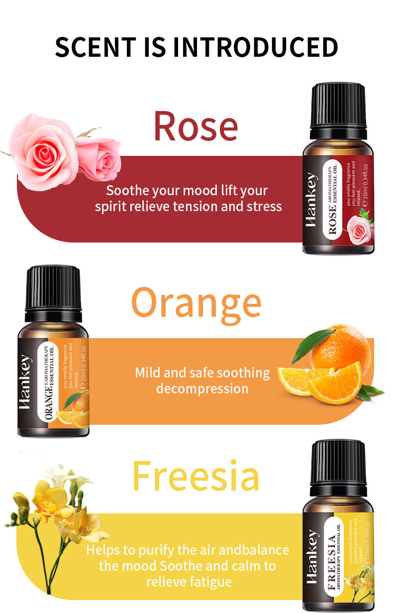 HANKEY Water-Soluble Aromatherapy Essential Oil Set (8 Bottles) - Humidifier Dedicated Aromatherapy Gift Set - GLOWUP