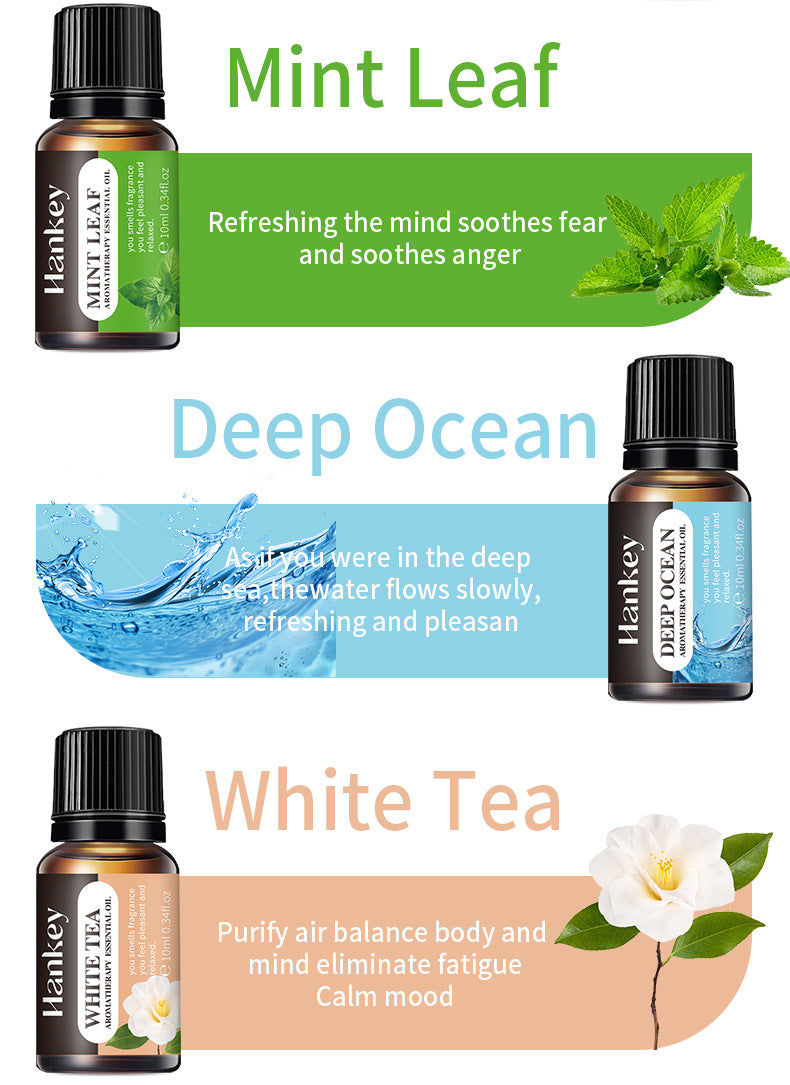 HANKEY Water-Soluble Aromatherapy Essential Oil Set (8 Bottles) - Humidifier Dedicated Aromatherapy Gift Set - GLOWUP