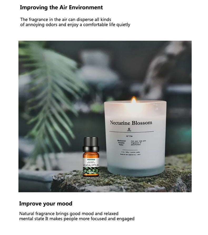 Aromatherapy Essential Oil 10ml Set - Extracted from the natural fragrance of plants - GLOWUP