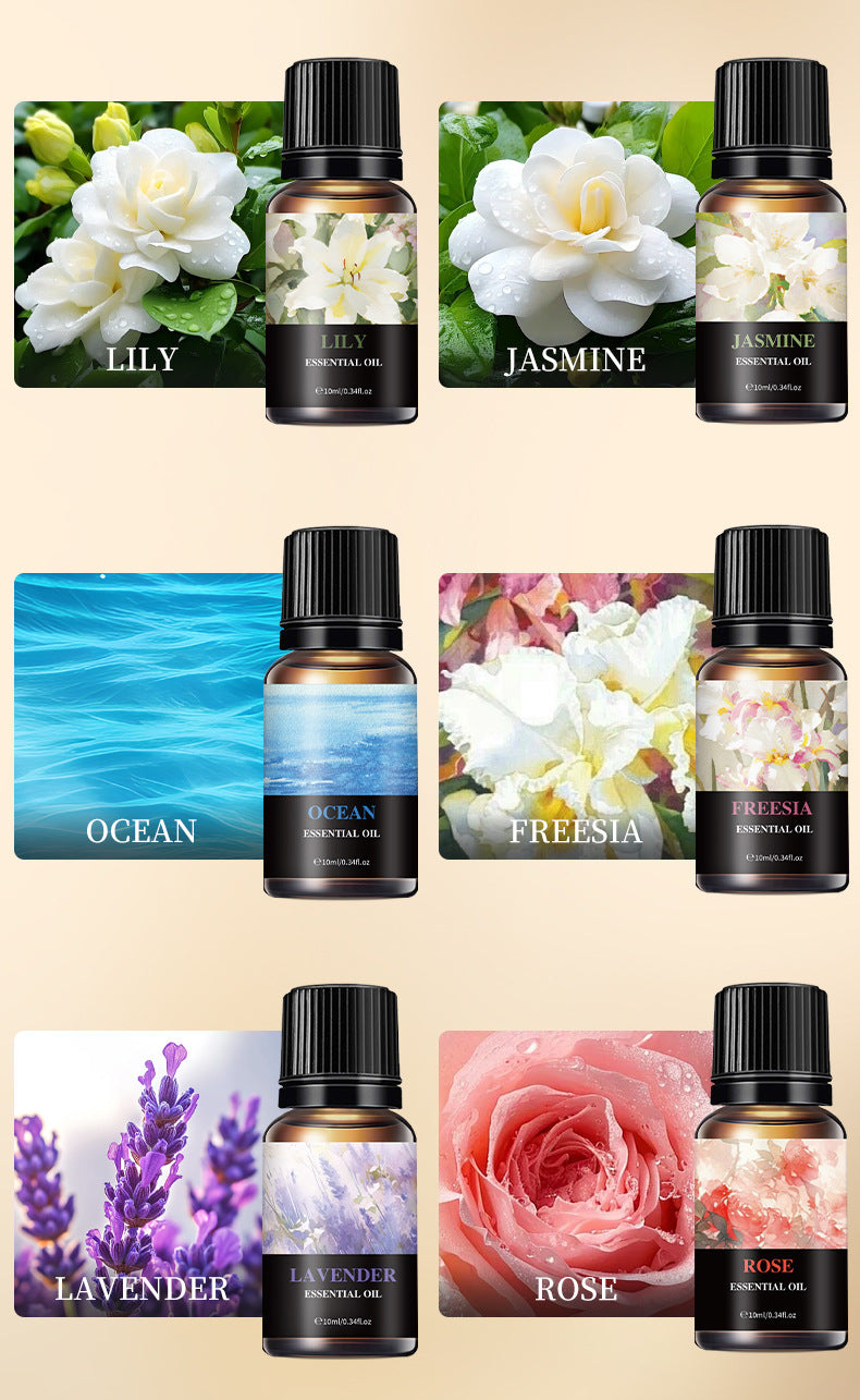 ESSENTIAL OIL Aromatherapy Essential Oil Set (6 Pieces) - Indoor Humidifier Aromatherapy Essential Oil Set - GLOWUP