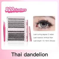 6d09eb17-eb5a-4da1-86b6-81c36e8e7fa9