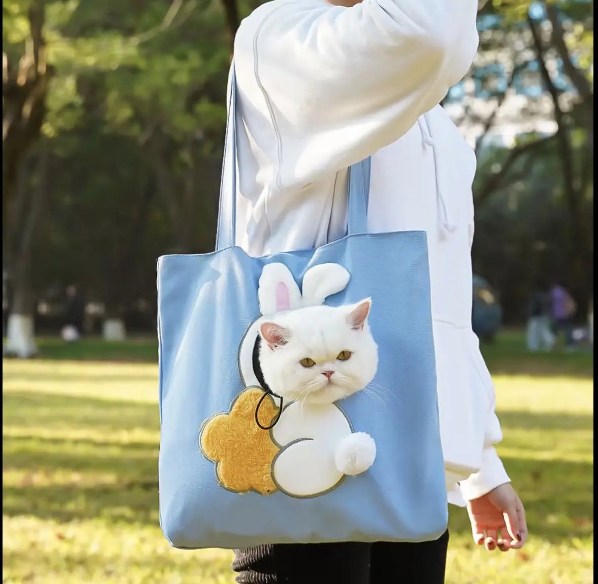 Portable multi-functional pet crossbody bag - perfect for outdoor travel and walks